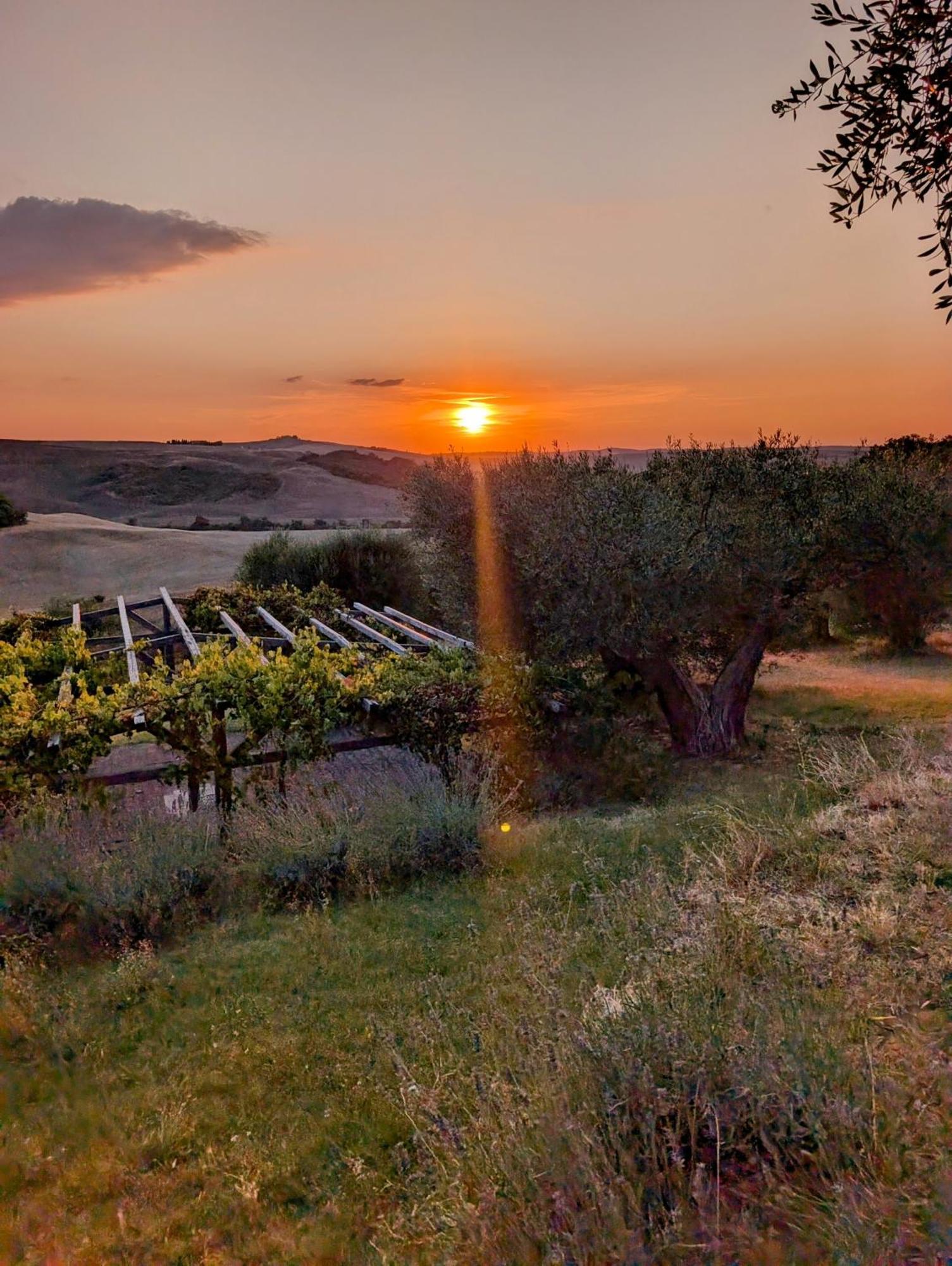 Podere Spedalone Villa Pienza Exterior photo