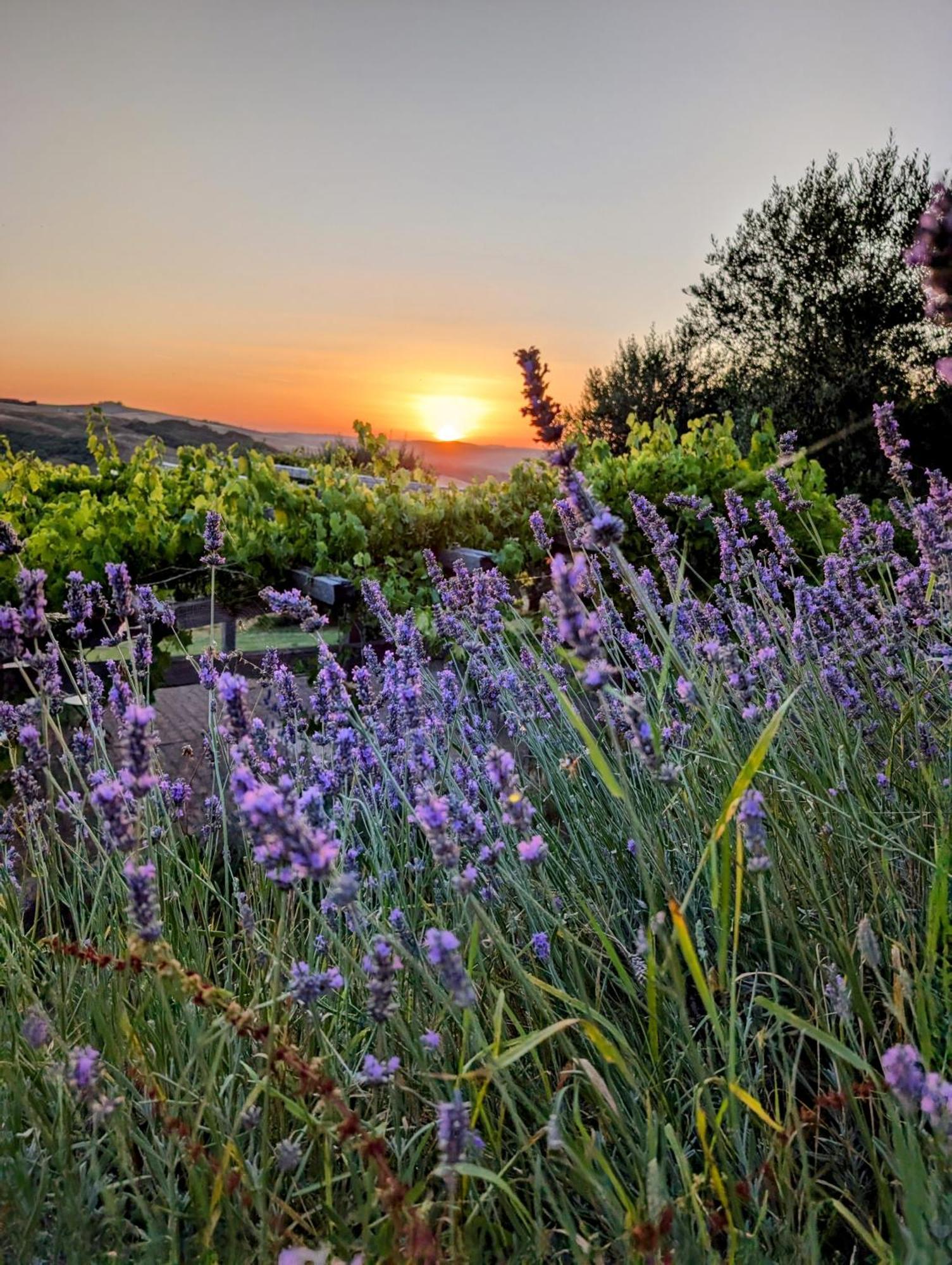 Podere Spedalone Villa Pienza Exterior photo